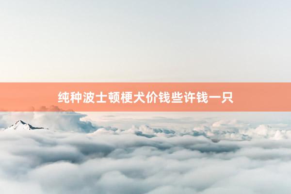 纯种波士顿梗犬价钱些许钱一只